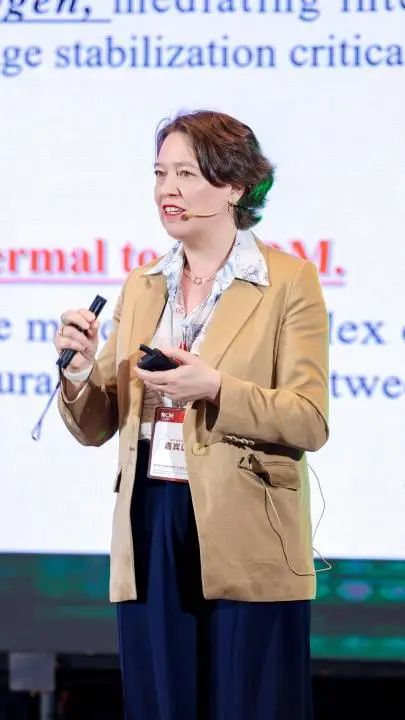 中国美容博览会 中国美容博览会